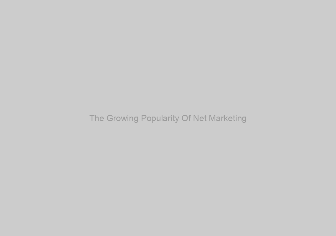 The Growing Popularity Of Net Marketing